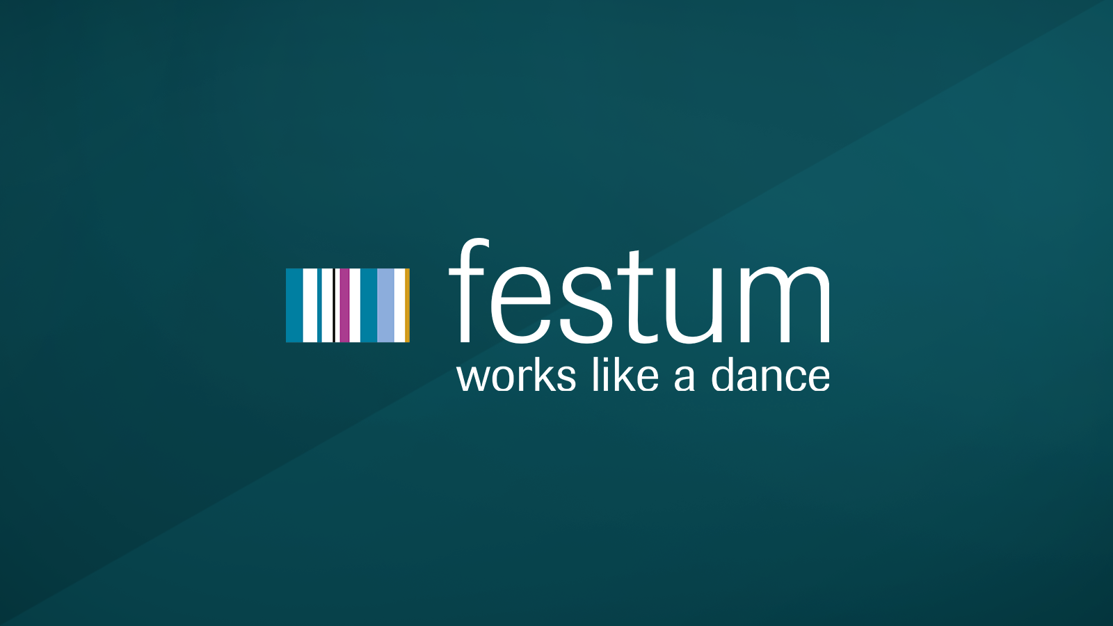 Festum Accounting